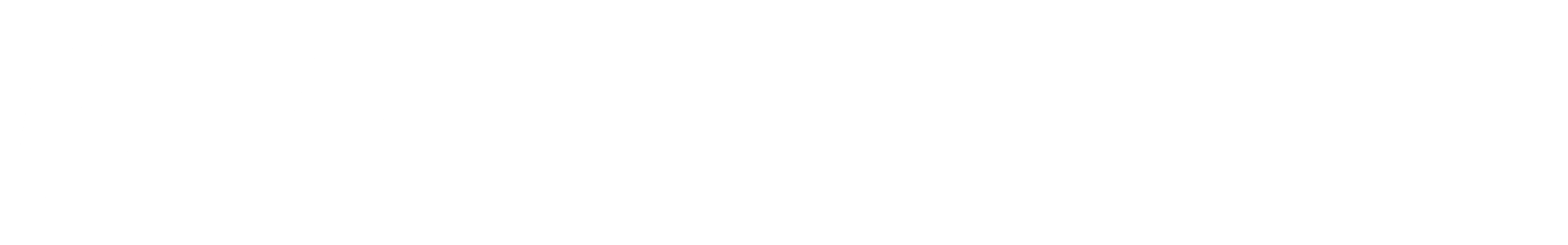 Next Step Sports logo